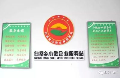 【山西新农村网】阳城小微企业如鱼得水生机一片