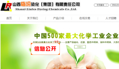 山西临汾染化(集团)有限责任公司与我司做网站推广项目