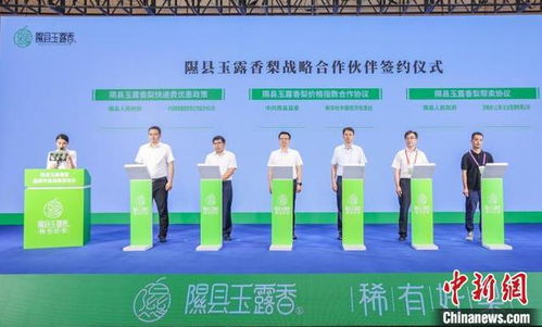 让一颗梨走向世界 山西隰县打造中国玉露香梨产业中心