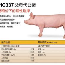  山西大寨农牧开发有限责任公司 主营 种猪