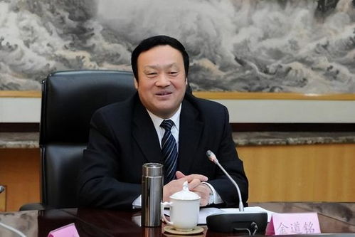 山西官场阴影下的胡氏姐妹花 权力滥用与贪腐网络的深度剖析